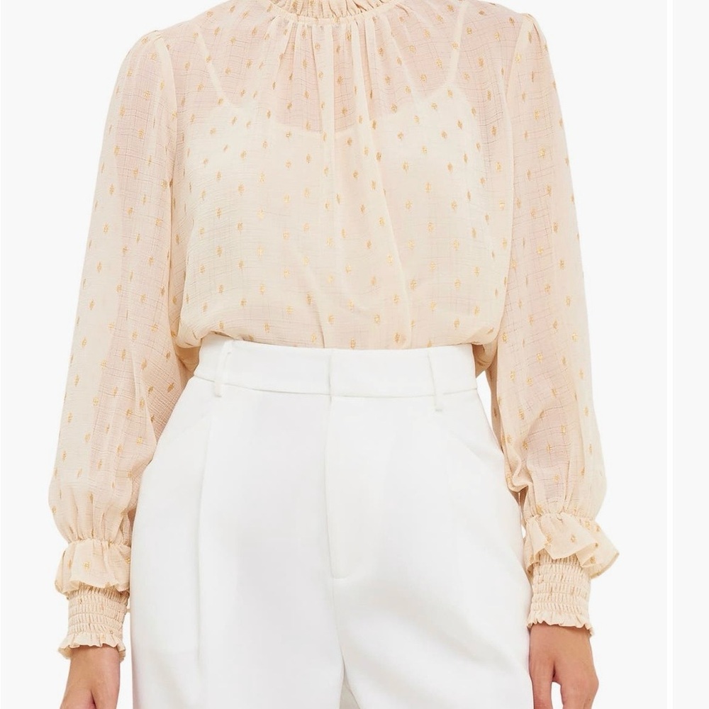 Endless Rose sheer top